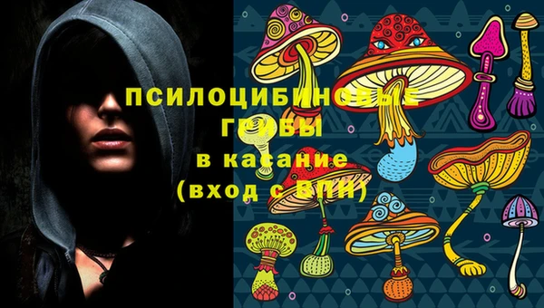 МДПВ Пересвет