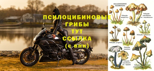 кристаллы Покачи