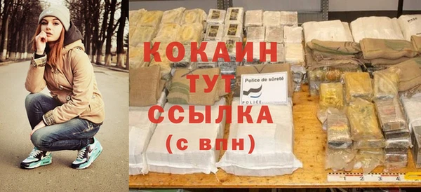 гашик Арсеньев