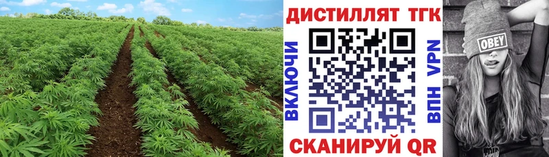 как найти   МЕГА   ТГК гашишное масло  Асбест 